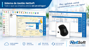 Sistema de gestão empresarial NetSoft para controle de clientes, vendas e produtos.